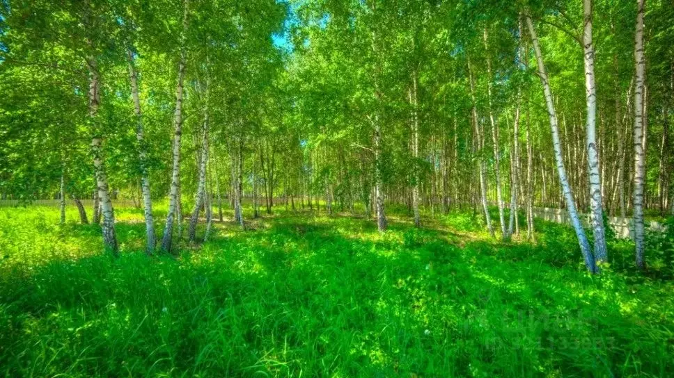 Участок в Московская область, Одинцовский городской округ, пос. дома ... - Фото 0
