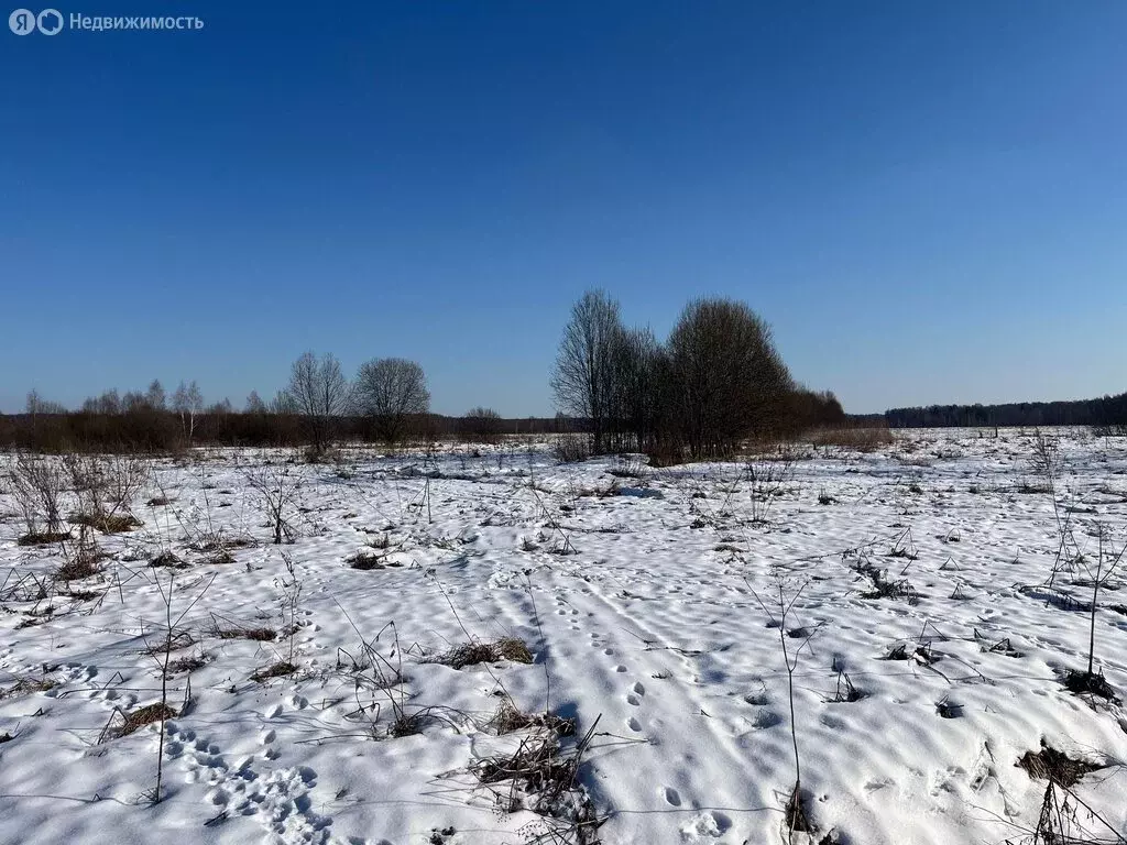 Участок в Александровский район, муниципальное образование ... - Фото 1