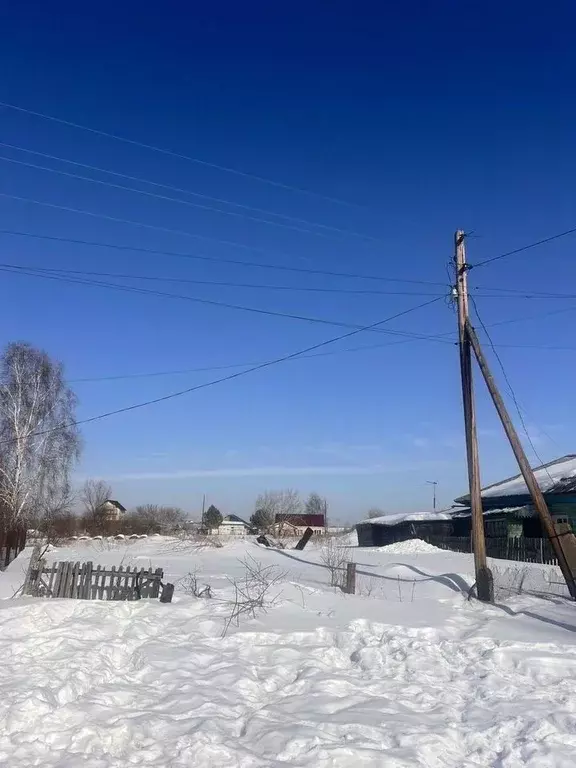 Участок в Алтайский край, Первомайский район, пос. Бажево ул. ... - Фото 1