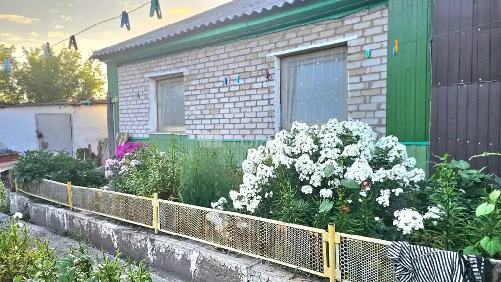 Дом в Алтайский край, Барнаул городской округ, Поселок Борзовая заимка ... - Фото 1