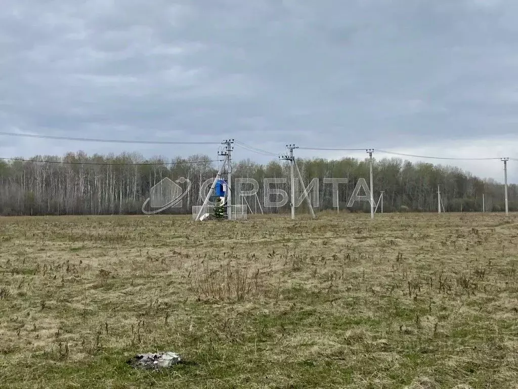 Участок в Тюменская область, Тюменский район, с. Горьковка Сибирская ... - Фото 1