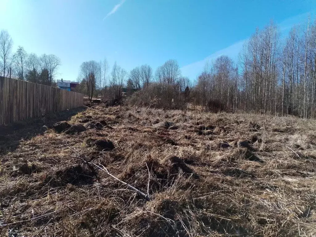 Участок в Вологодская область, д. Вотолино  (15.0 сот.) - Фото 2