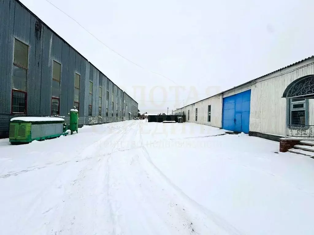 Производственное помещение в Белгородская область, Белгород ул. ... - Фото 2