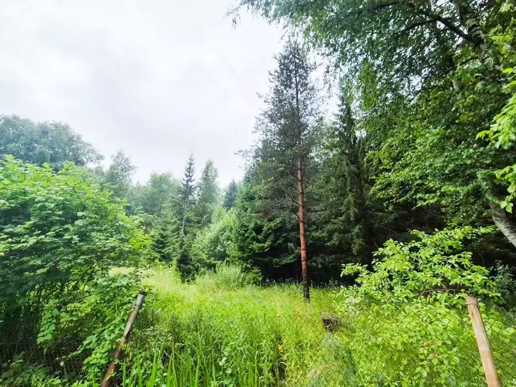 Дом в Вологодская область, Череповецкий муниципальный округ, садовое ... - Фото 1