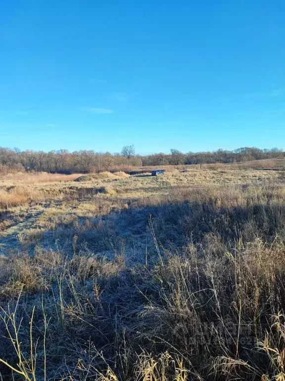 Участок в Калининградская область, Гусевский городской округ, пос. ... - Фото 1