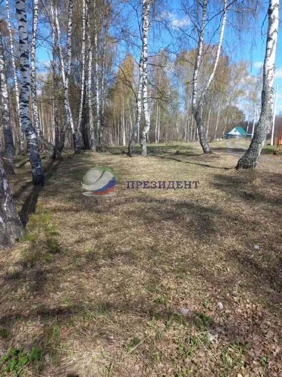 Участок в Нижегородская область, Дальнеконстантиновский муниципальный ... - Фото 1