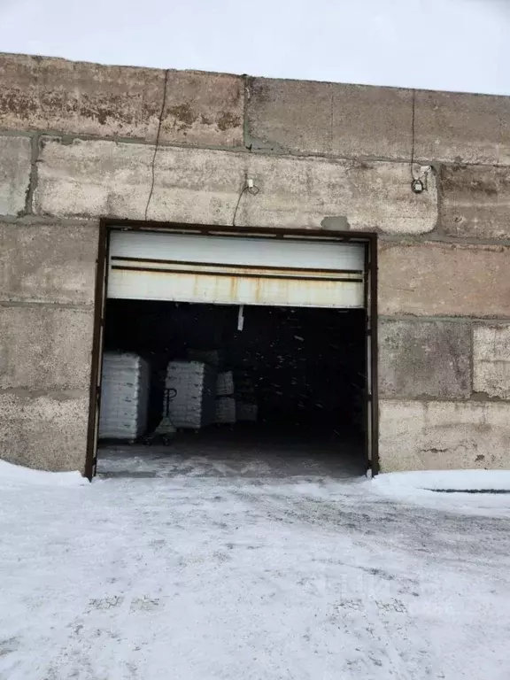 Помещение свободного назначения в Алтайский край, Барнаул Ткацкая ул., ... - Фото 1