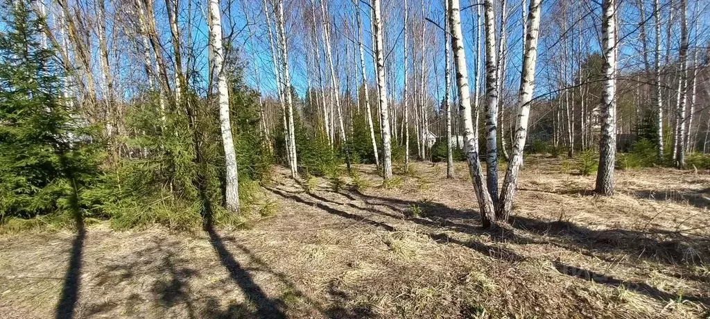 Участок в Москва д. Ярцево, ул. Ярцевские Поляны-1, 32 (8.0 сот.) - Фото 2