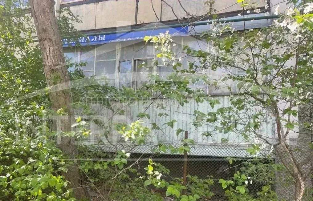 2-к кв. Севастополь ул. Льва Толстого, 4А (45.0 м) - Фото 1