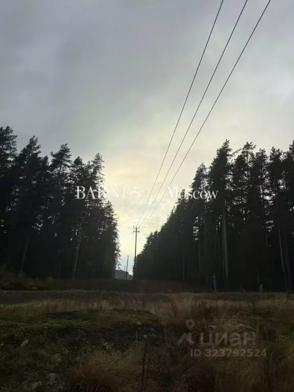 Участок в Ленинградская область, Выборгский район, Рощинское городское ... - Фото 2