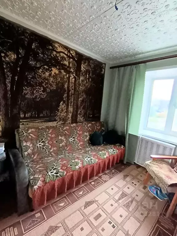 2-к кв. Пермский край, Оса ул. Степана Разина, 71 (35.8 м) - Фото 1