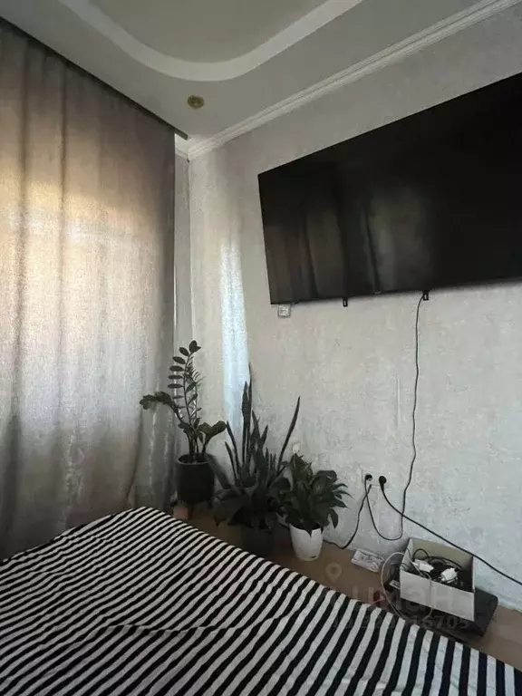1-к кв. Оренбургская область, Бузулук ул. Фрунзе, 22 (31.4 м) - Фото 2