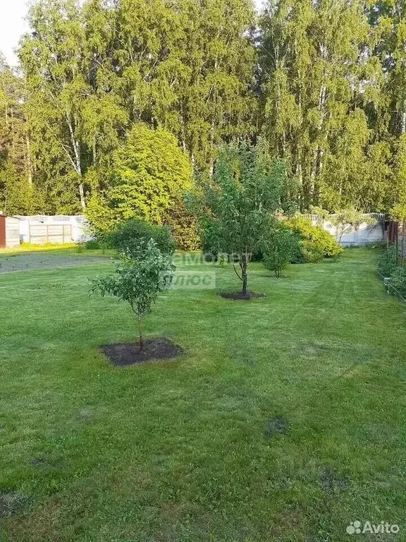 Участок в Алтайский край, Барнаул городской округ, с. Власиха ул. ... - Фото 1