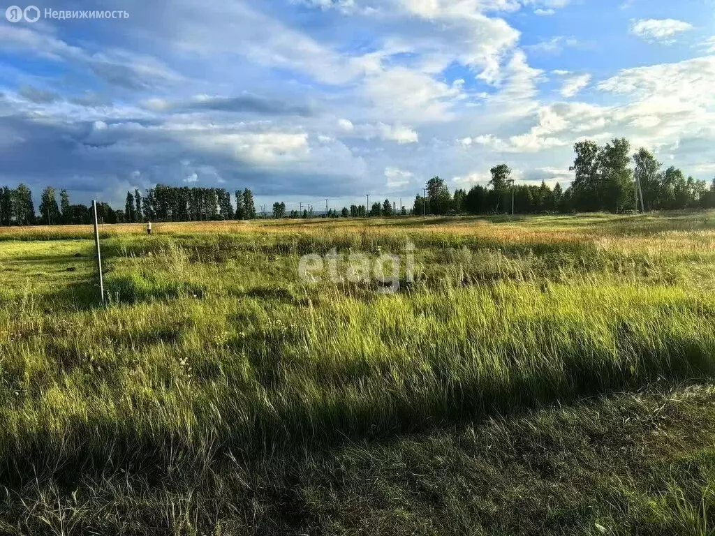 Участок в Поспеловское сельское поселение, посёлок Луговой (15 м) - Фото 1