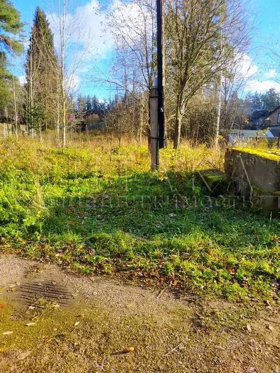 Купить Участок В Выборге Недорого