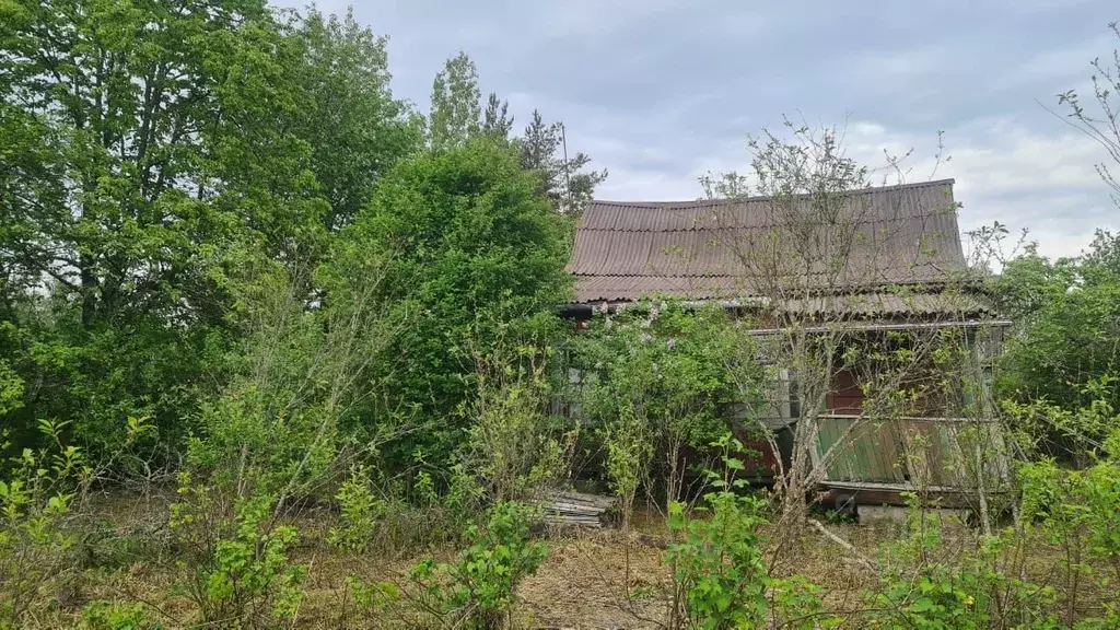 Участок в Ленинградская область, Кировский район, Мгинское городское ... - Фото 1