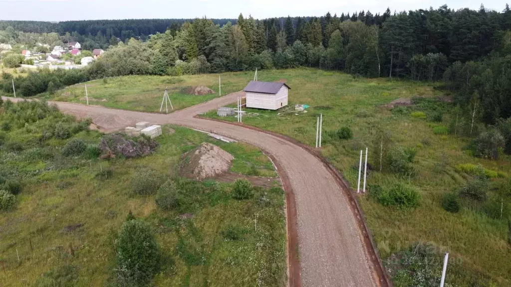 Участок в Владимирская область, Александровский район, Андреевское ... - Фото 1