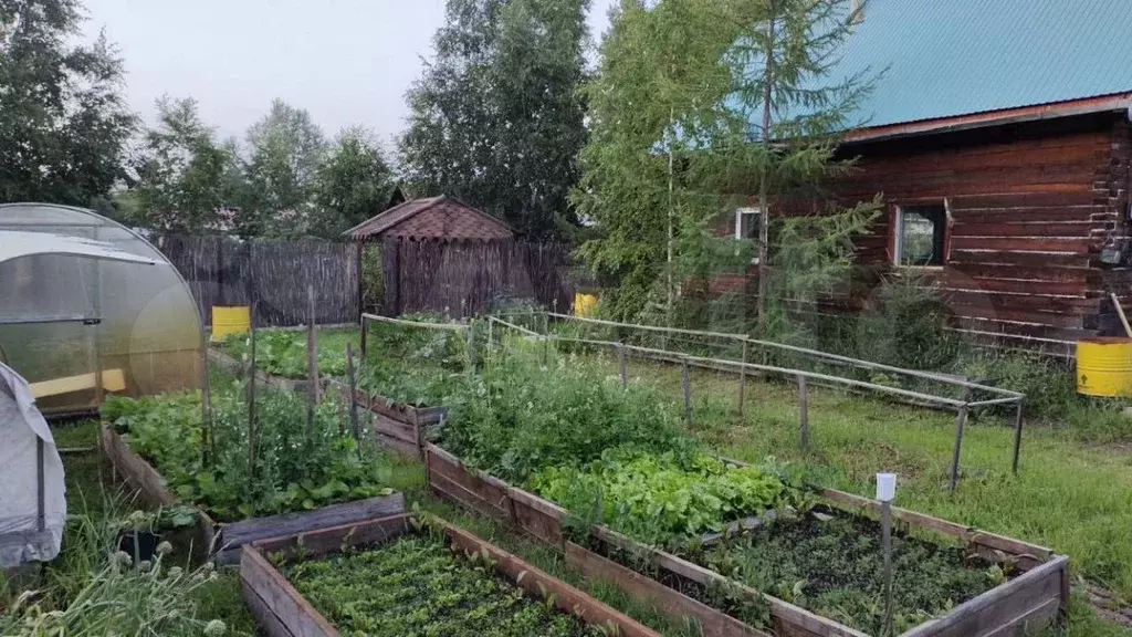 Дом 27,5 м на участке 4 сот. - Фото 0