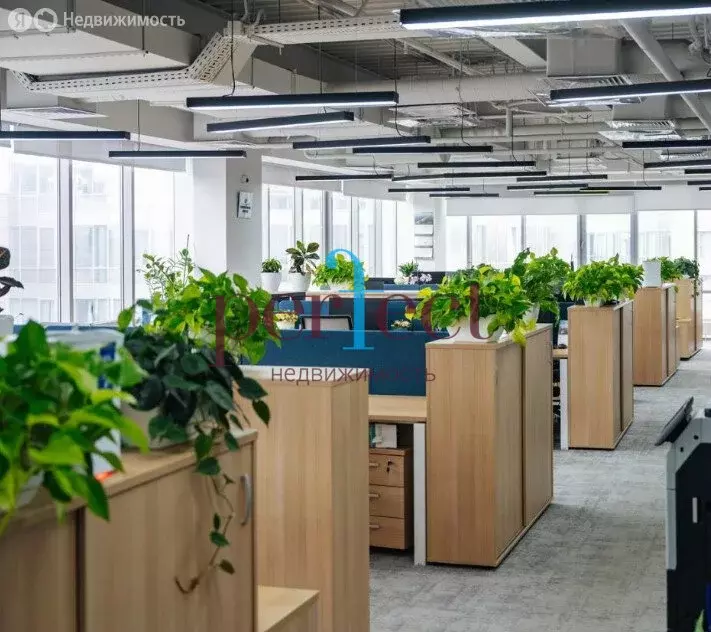 Помещение свободного назначения (1917.5 м) - Фото 2