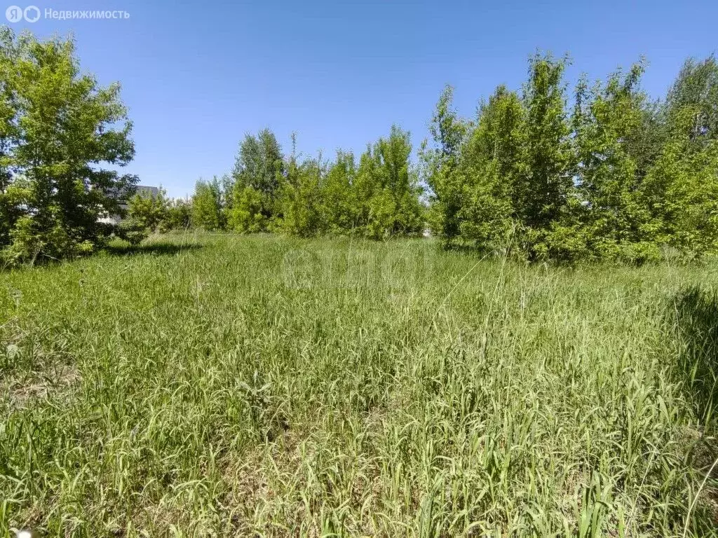 Участок в Бердск, микрорайон Раздольный (8.69 м) - Фото 1