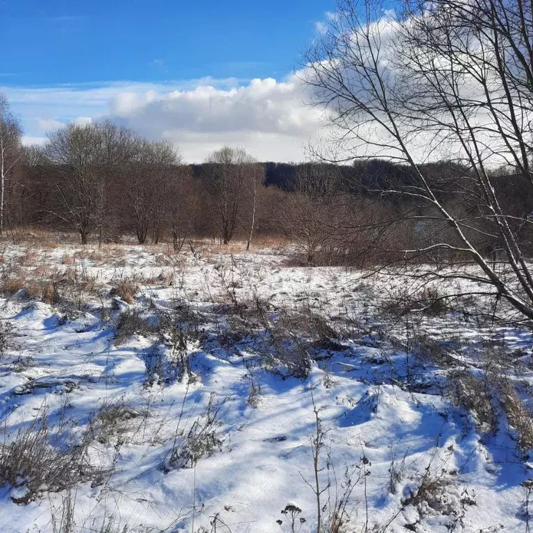 Участок в Московская область, Ступино городской округ, д. Лаптево  ... - Фото 1