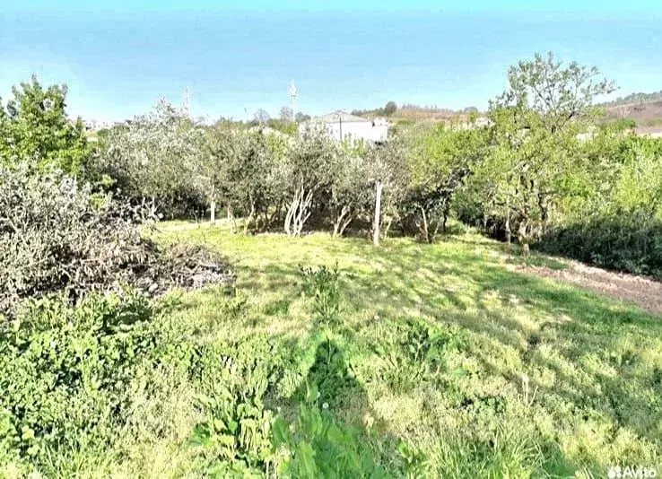 Участок в Краснодарский край, Сочи Пятигорская ул. (4.7 сот.) - Фото 1