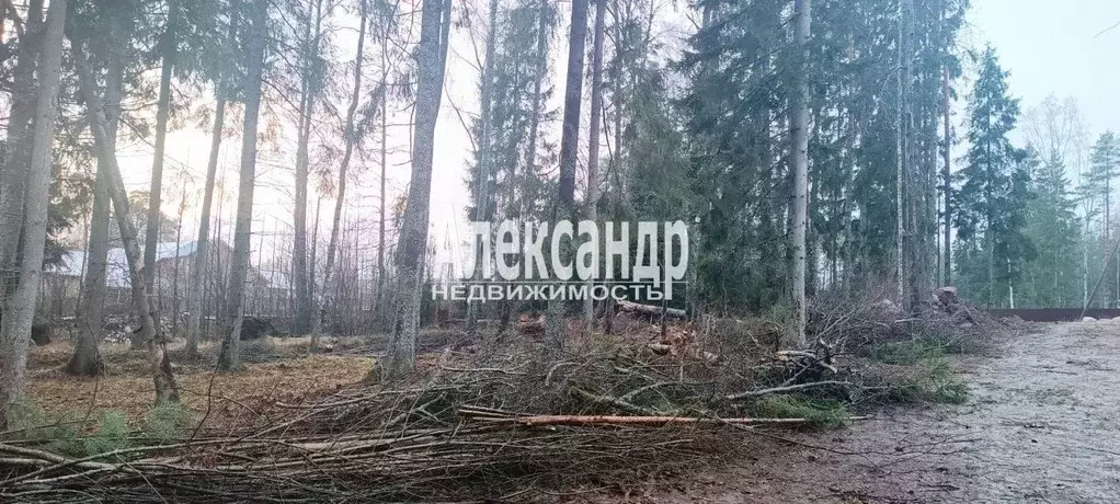 Участок в Ленинградская область, Выборгский район, Селезневское с/пос, ... - Фото 1