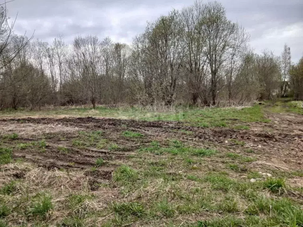 Участок в Ленинградская область, Волховский район, Колчановское с/пос, ... - Фото 1
