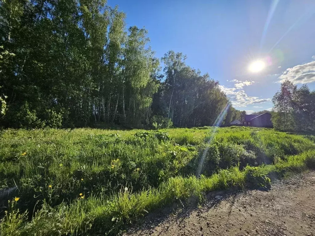 Участок в Московская область, Домодедово городской округ, д. Минаево, ... - Фото 2