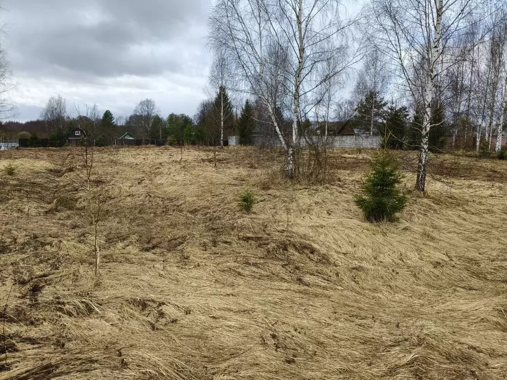 Участок в Московская область, Талдомский городской округ, д. Волкуша  ... - Фото 1