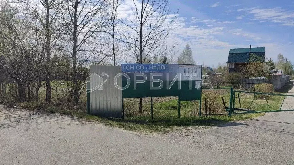 Участок в Тюменская область, Ялуторовский район, СО Надежда ТСН  (10.0 ... - Фото 1