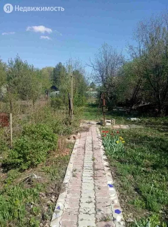 Участок в Оренбург, СНТ Урал, Ясная улица (783 м) - Фото 1