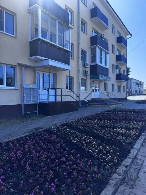 Помещение свободного назначения в Тамбовская область, Тамбов пл. ... - Фото 0