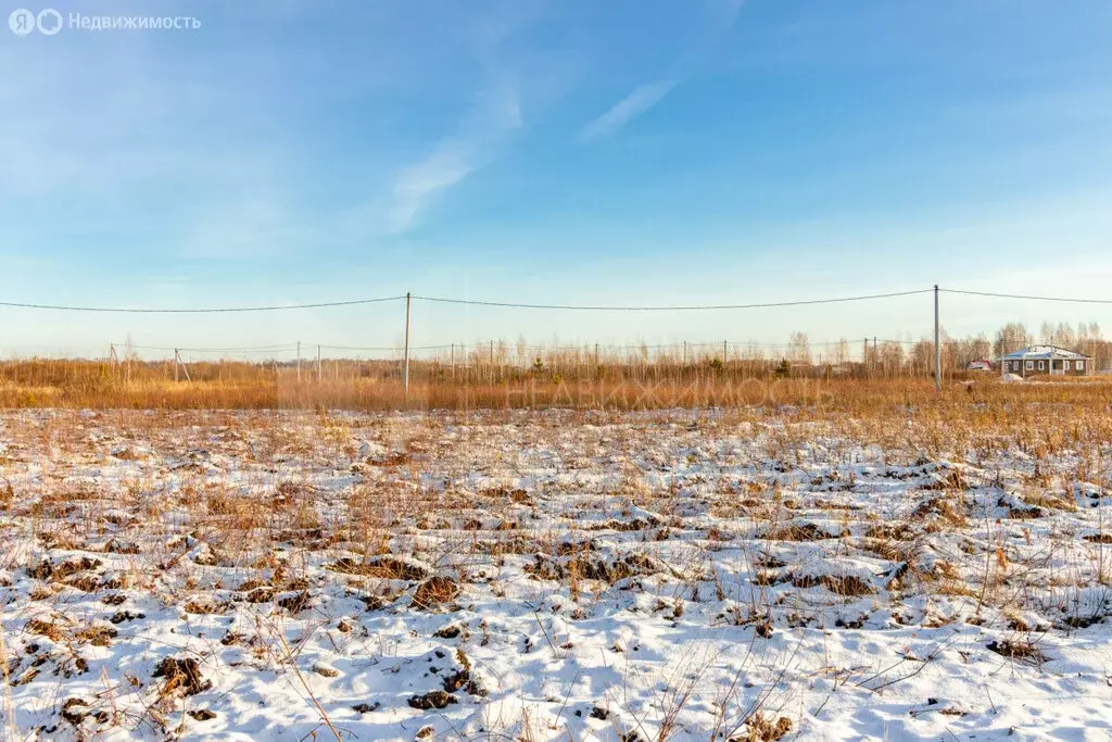 Участок в Тюмень, ДНТСН Зелёный Бор (14 м) - Фото 0