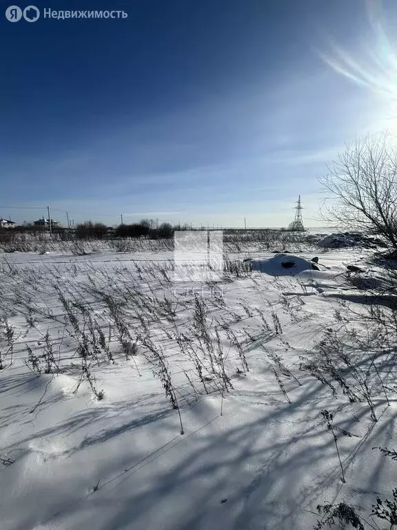 Участок в Амурская область, Благовещенский муниципальный округ, село ... - Фото 1