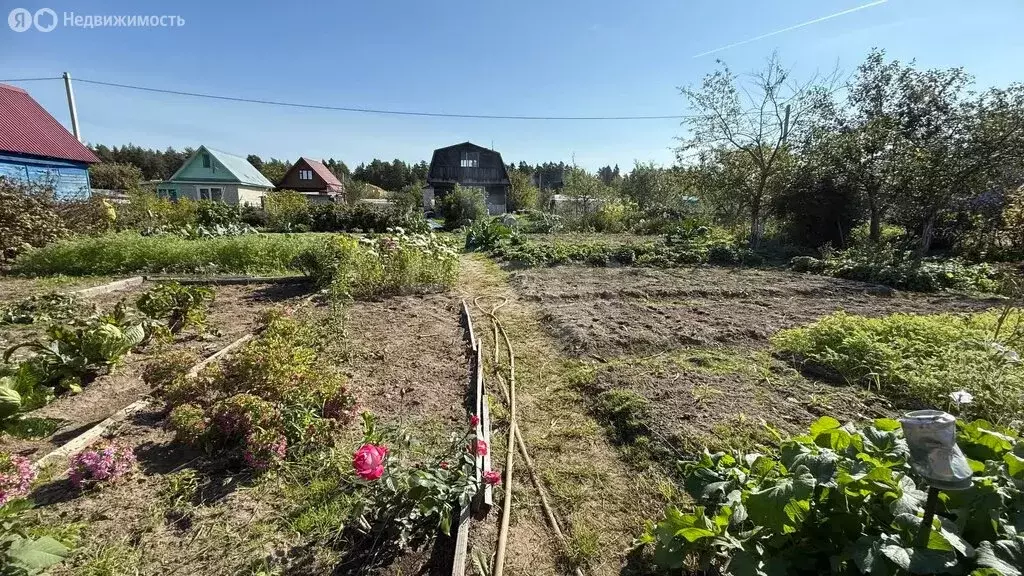 Участок в муниципальное образование Клязьминское, СНТ Лесное (4 м) - Фото 1