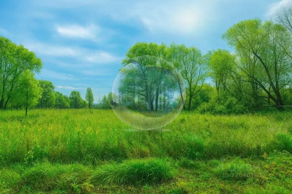 Участок в Московская область, Ленинский городской округ, с. Остров  ... - Фото 1