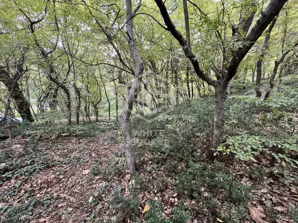 Участок в Крым, Алупка ул. Имени Олега Кошевого, уч2 (3.0 сот.) - Фото 2