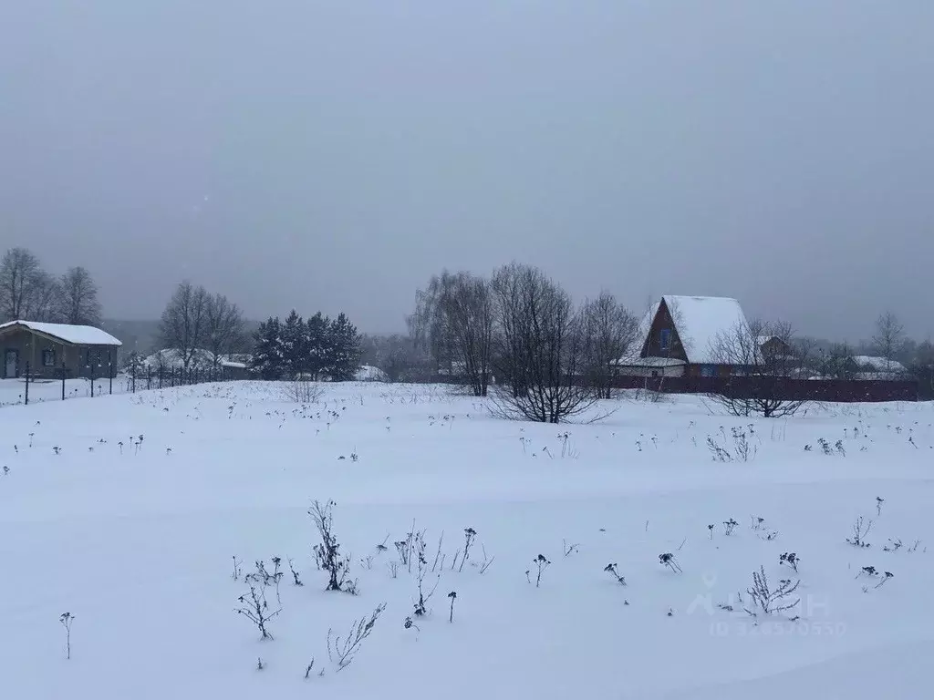 Участок в Московская область, Ступино городской округ, д. Матюково  ... - Фото 2