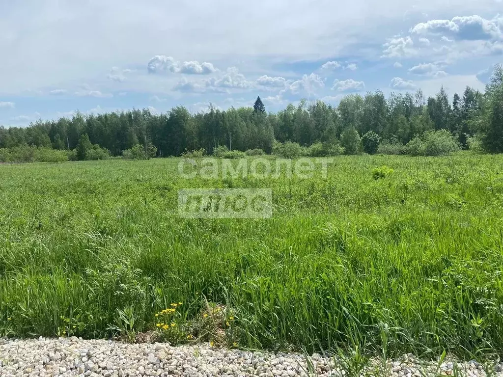 Участок в Свердловская область, Ревда муниципальный округ, с. Кунгурка ... - Фото 1