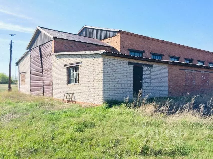 Погода зеленый луг родинский. Село Степной Кучук Родинский район Алтайский край. Родинский район село Каяушка. Каяушка Алтайский край. Зеленая Дубрава Родинский р-он Алтайский край.