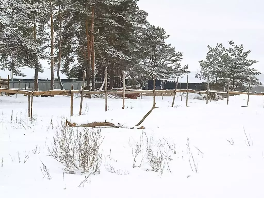 Участок в село Нелжа, улица Свободы (13.33 м) - Фото 2