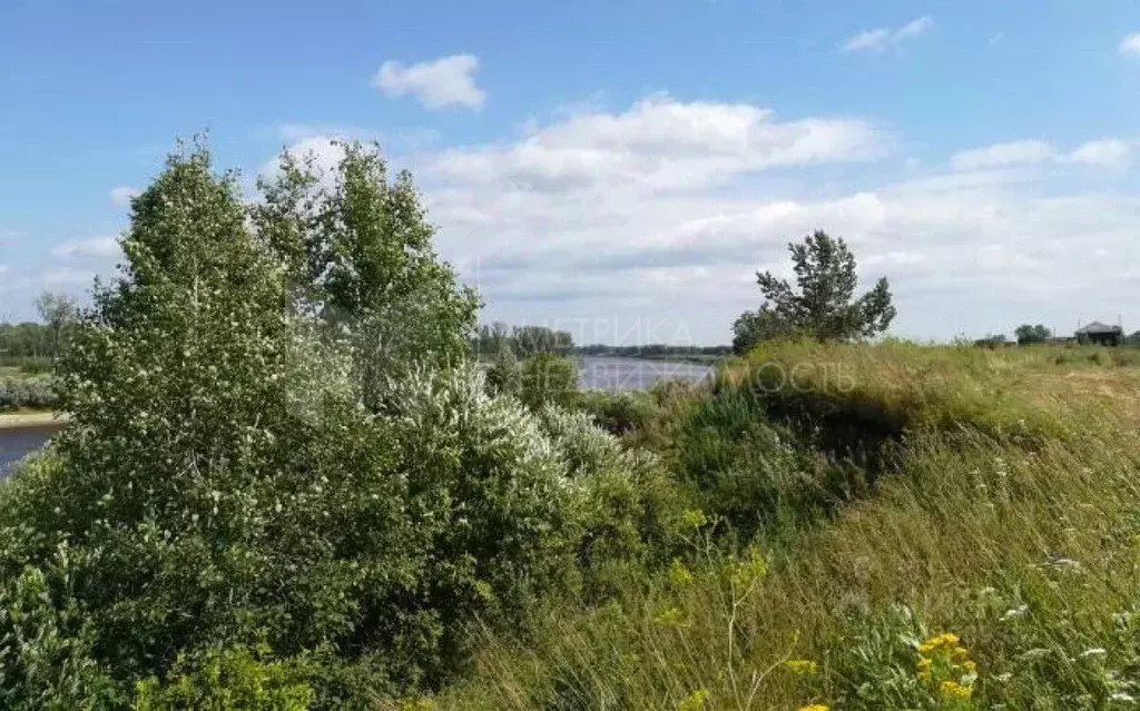 Участок в Свердловская область, Слободо-Туринский район, ... - Фото 0