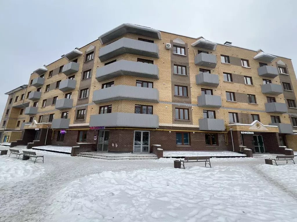 Свободной планировки кв. Псковская область, Псков Петровская ул., 4Б ... - Фото 2