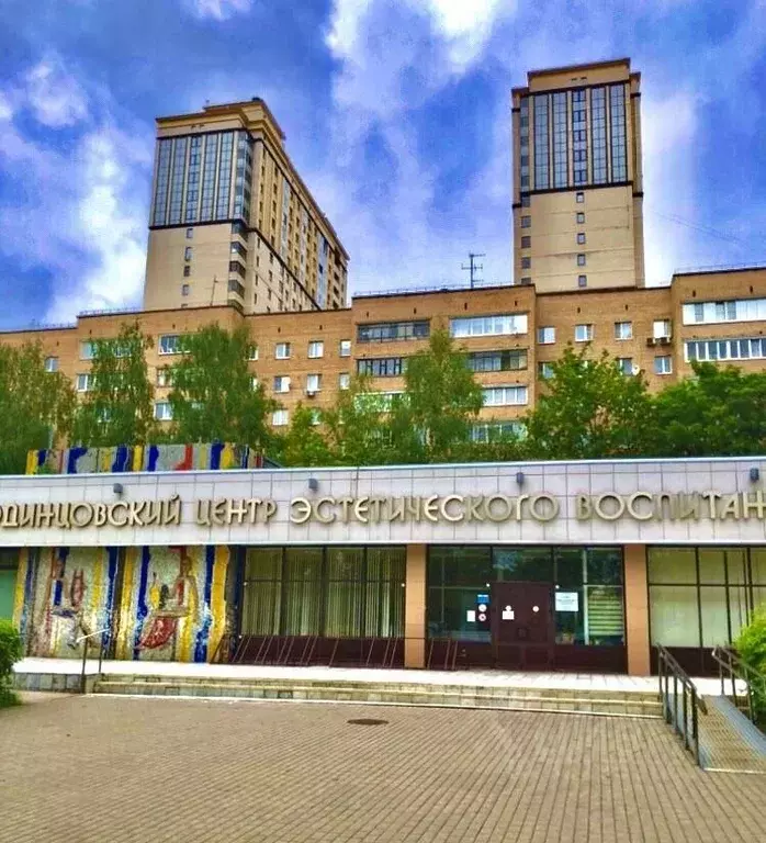 2-к кв. Московская область, Одинцово ул. Маршала Жукова, 23к2 (56.0 м) - Фото 1