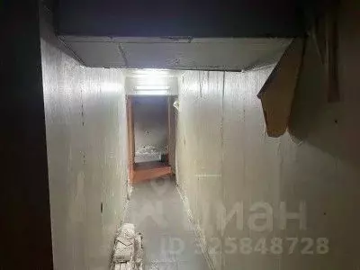 Помещение свободного назначения в Челябинская область, Челябинск ул. ... - Фото 1