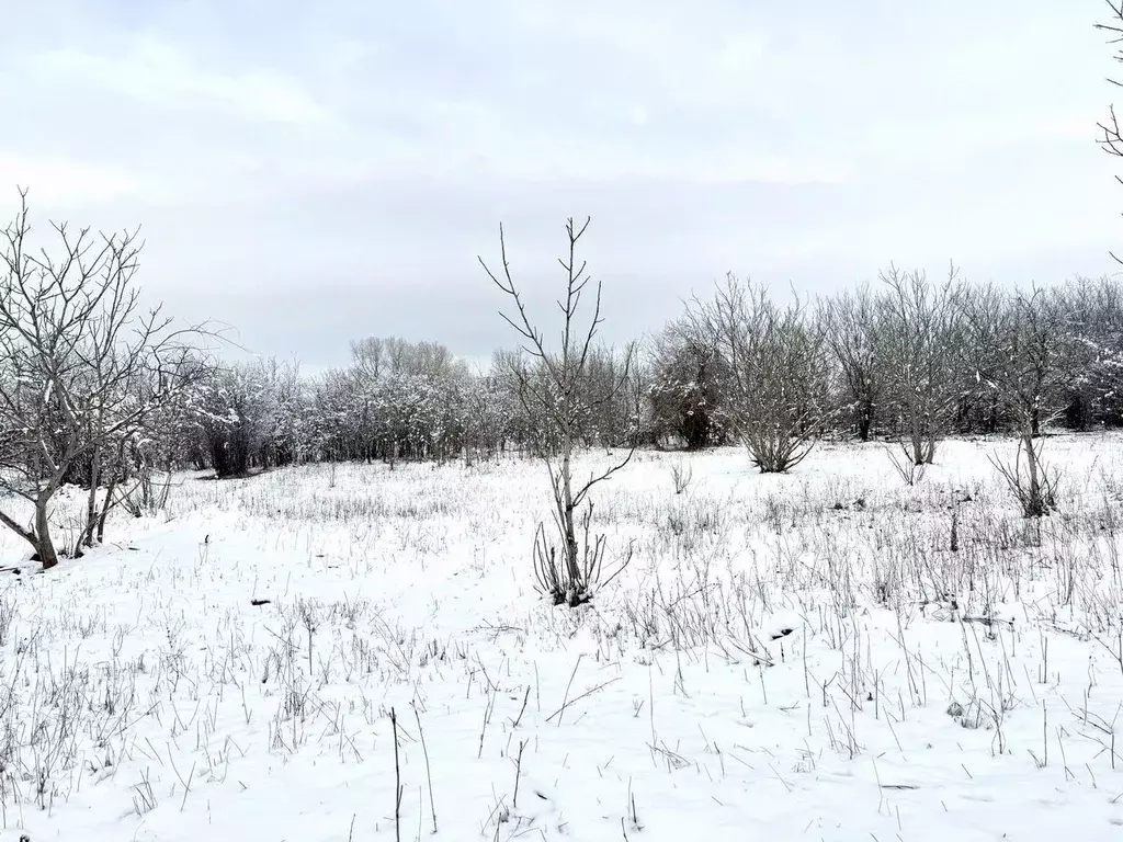 Участок в Краснодарский край, Новокубанск Рассвет СНТ, ул. Сливовая ... - Фото 0