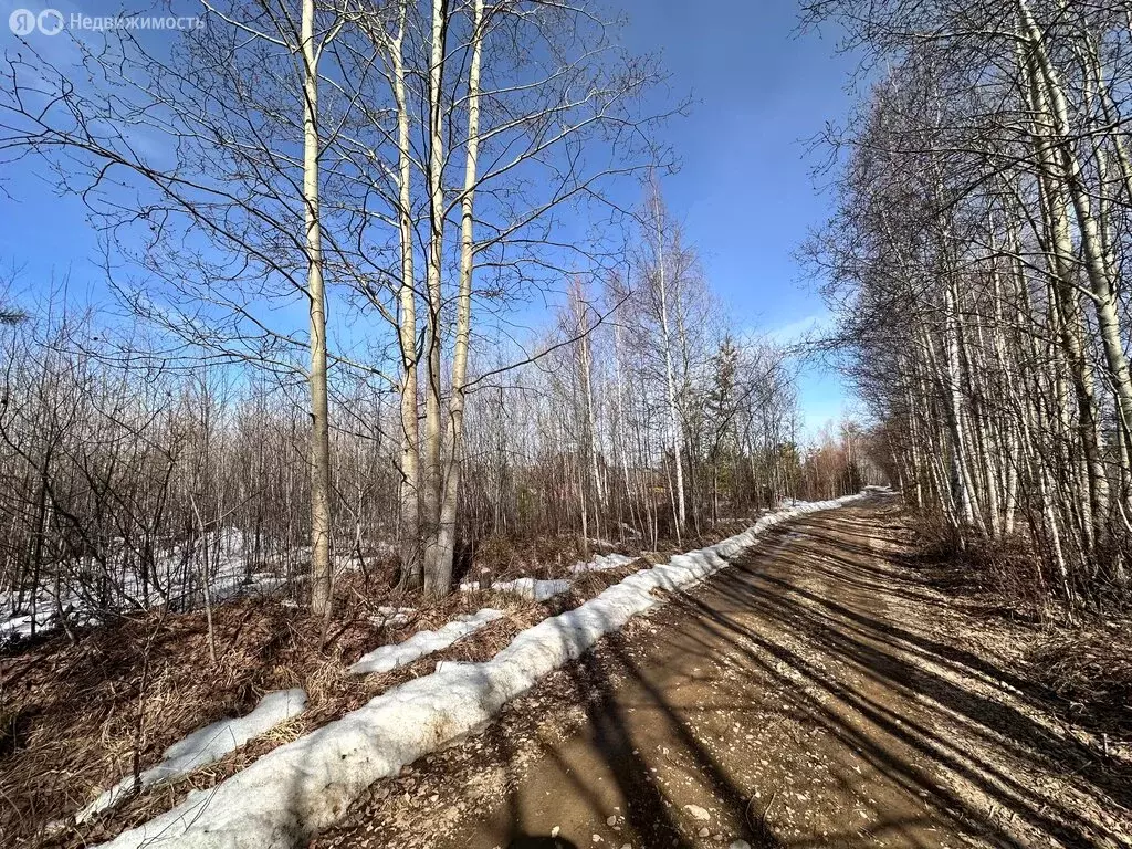 Участок в Иркутский муниципальный округ, СНТ Лесное, Первая улица (8 ... - Фото 1