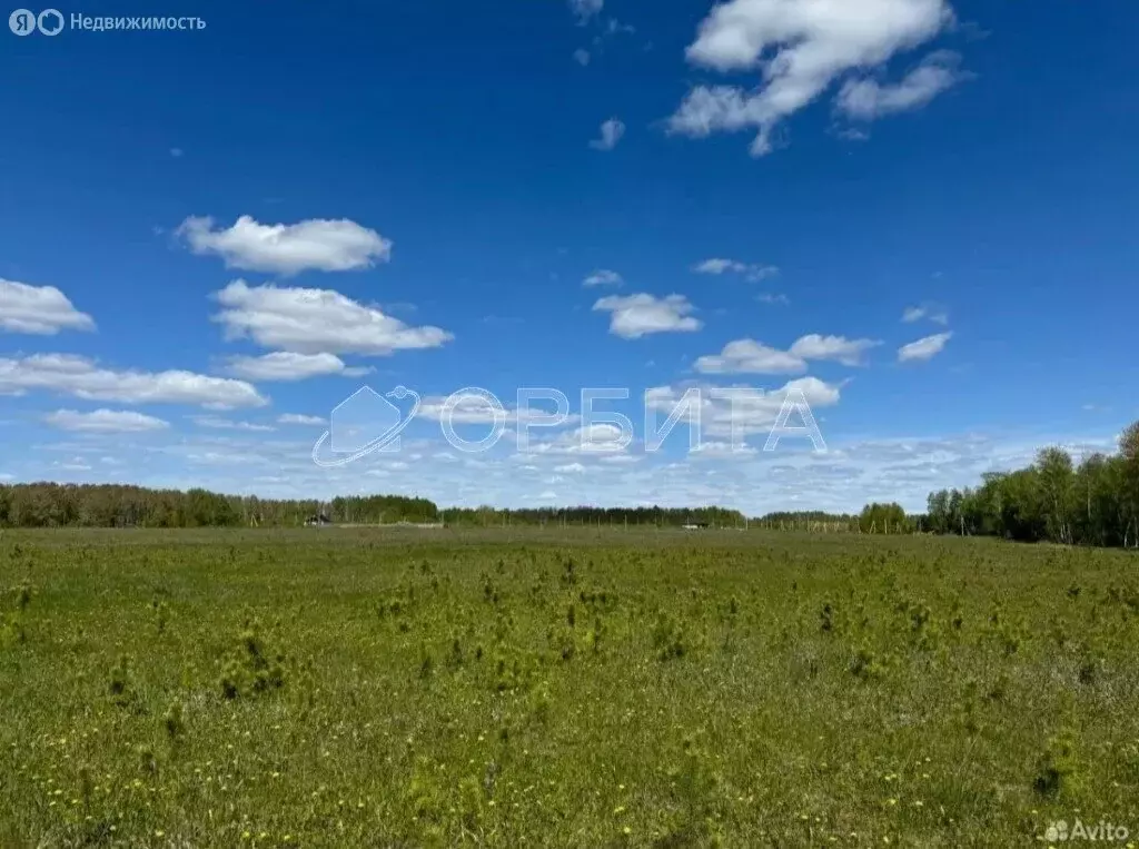 Участок в Тюменский район, деревня Ушакова (7 м) - Фото 1