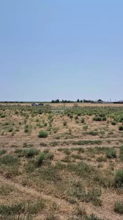 Участок в Астраханская область, Приволжский район, пос. Кирпичного ... - Фото 1